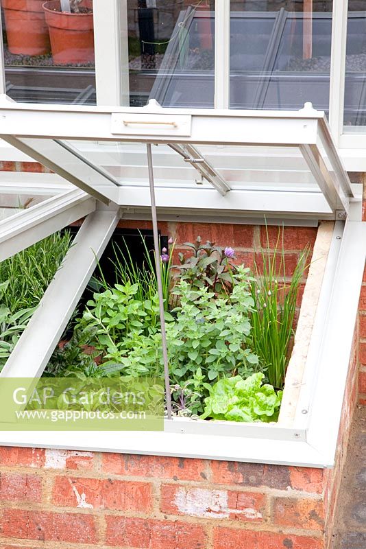 Cold frame with herbs and salads 