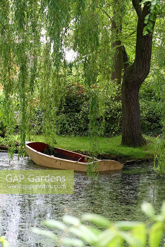 Old wooden rowing boat in the pond shaded by a weeping willow tree - Sallowfield Cottage B&B, Norfolk