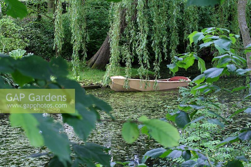 View from the woodland walk of an old wooden rowing boat in the pond, shaded by a weeping willow tree - Sallowfield Cottage B&B, Norfolk