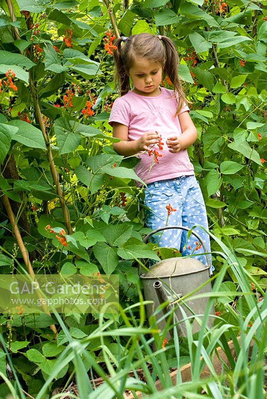 Young five year old girl with a Watering Can in vegetable garden.