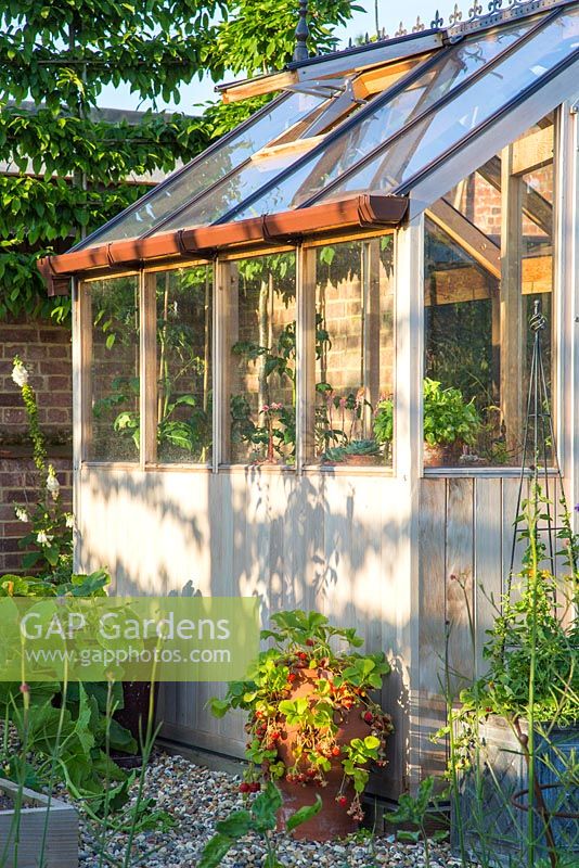 Wooden greenhouse with strawberry planter. Pot by Dunne and Hazell