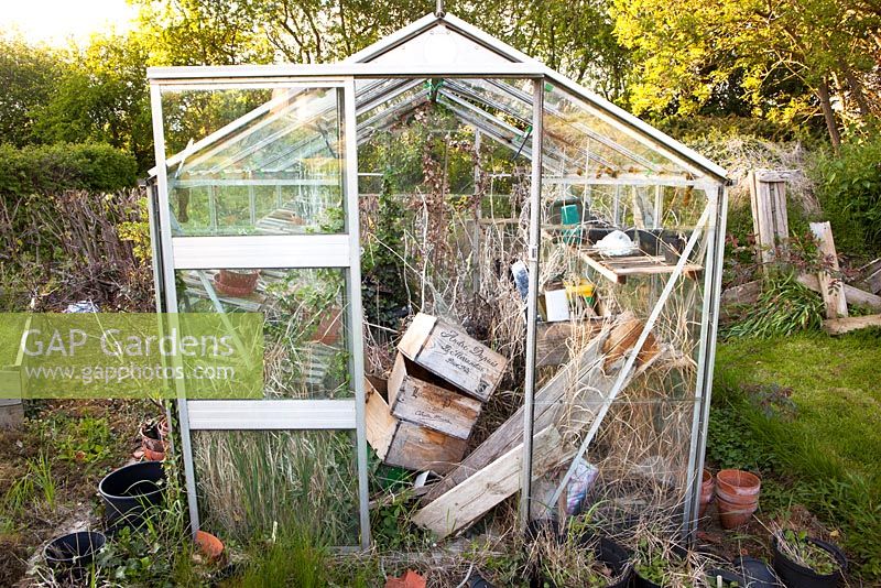 Neglected greenhouse in need of renovation