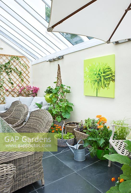 Conservatory with metal chair, wicker chairs and table and various containers planted with herbs, gerberas and melons