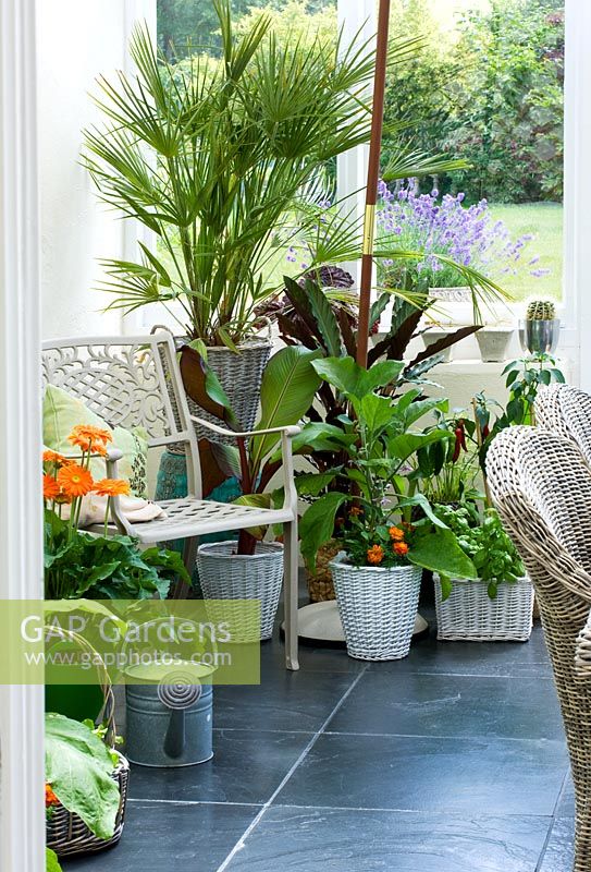Conservatory with metal chair, wicker chairs and table and various containers