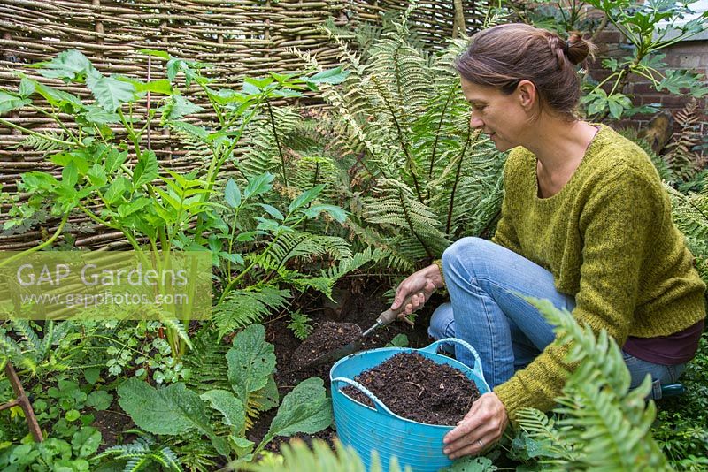 Woman mulching a shady border with Composted Green Waste