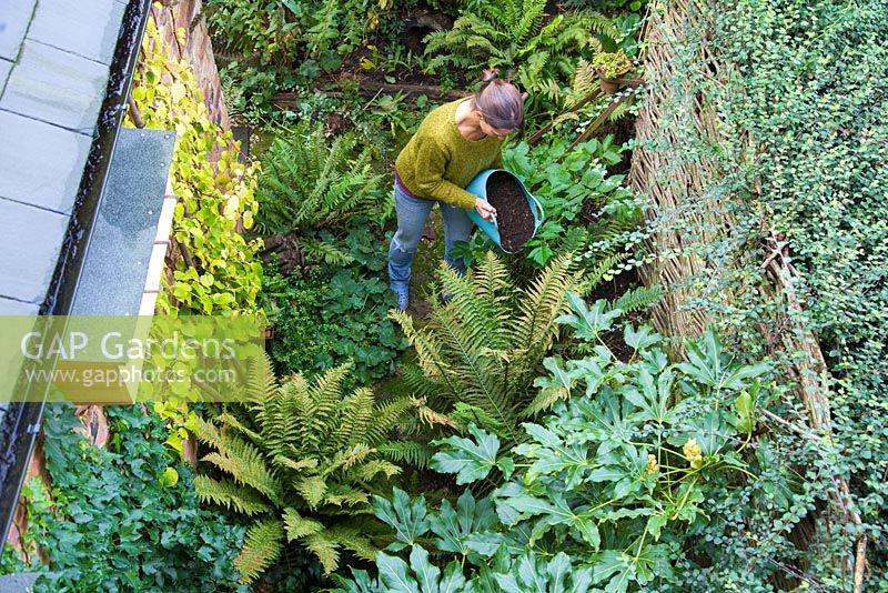 Woman mulching a shady border with composted green waste