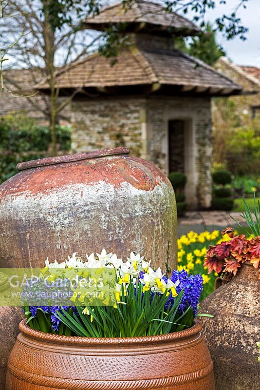 Spring flowers in pots near the Indian Gate, Highgrove Garden,  April 2013