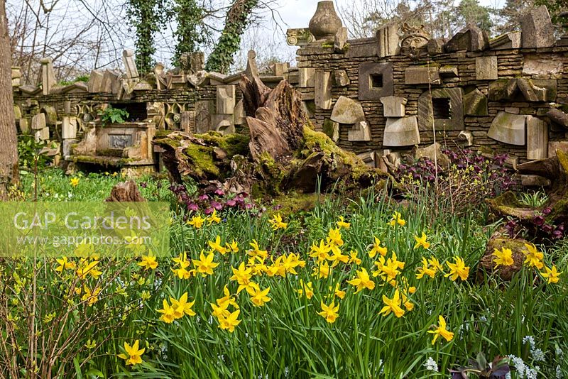 The Wall Of Gifts and daffodils in the The Stumpery, Highgrove Garden, April 2013