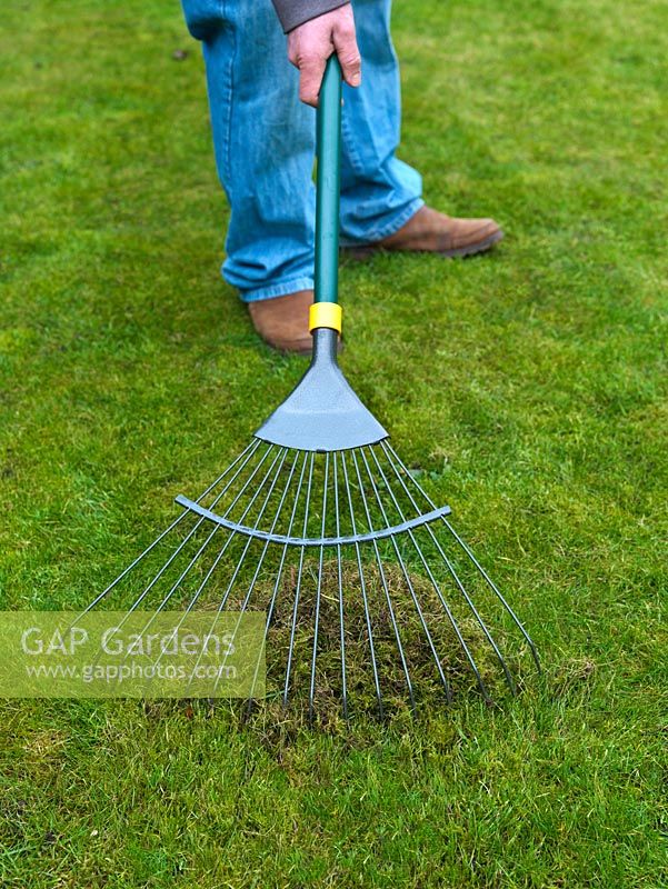 Lawncare. Lawns become clogged up with dead grass, thatch and moss - scrape out with a rake