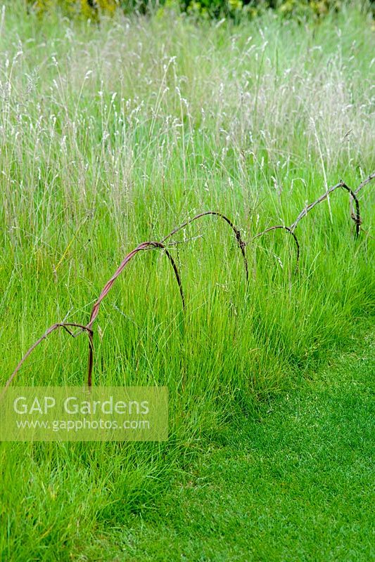Willow arches to delineate grass path in wild garden