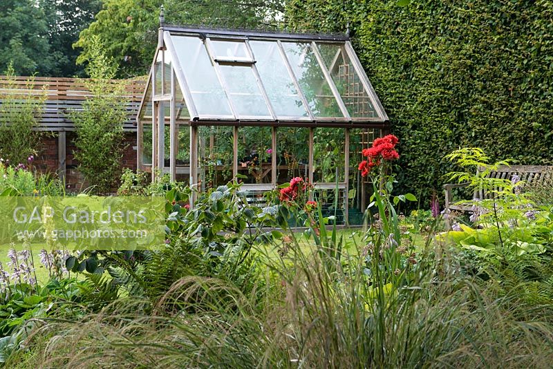 A traditional, wooden framed greenhouse sheltered by high hedge.