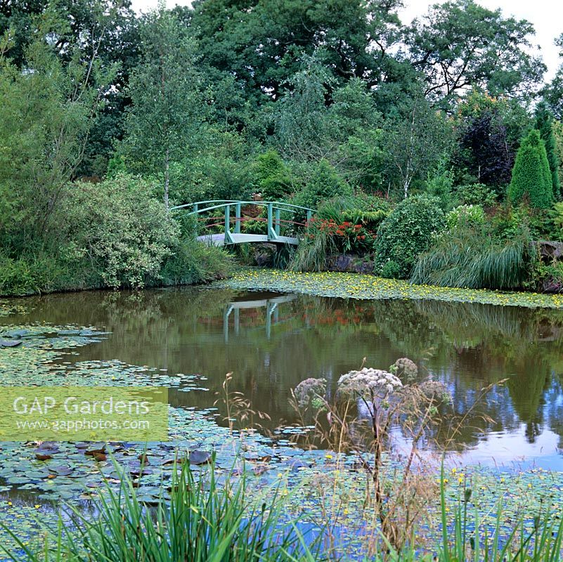 Inspired by Monets bridge, Chris Bissell, an engineer, created these bridges spanning a spring-fed, 14 feet deep lake planted with  native water lilies.
