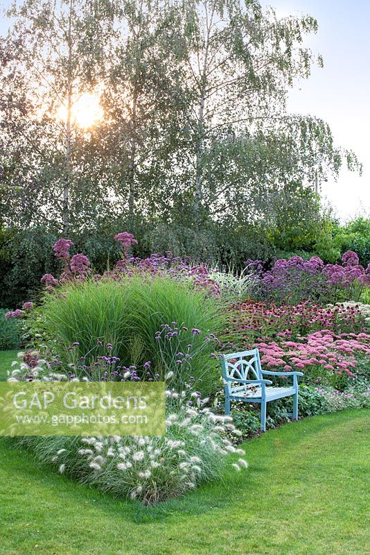  Plant Combinations Ideas Garden Design Plants Garden Inspiration - Best Plant Combinations For Landscaping