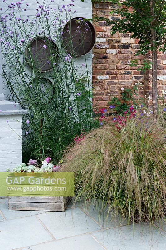 Old garden sieves are hung on the wall behind clump of Verbena bonariensis. On right, Stipa arundinacea and Penstemon 'Garnet'.