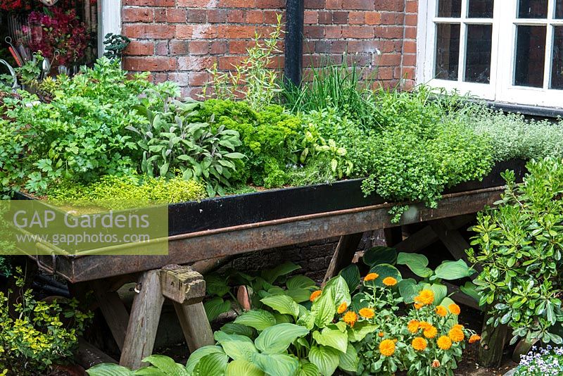 A small couryard with raised bed filled with herbs.