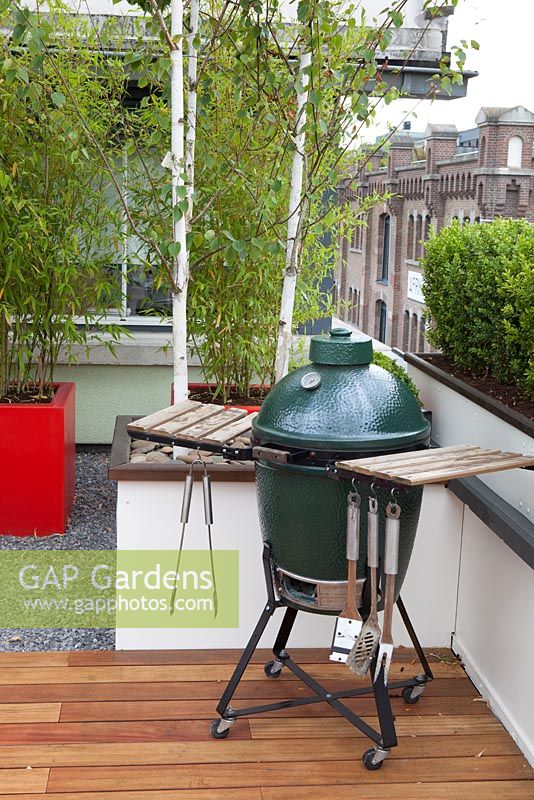 Barbeque and containers with Betula utilis 'Doorenbos' on a roof terrace garden in Rotterdam, Holland.