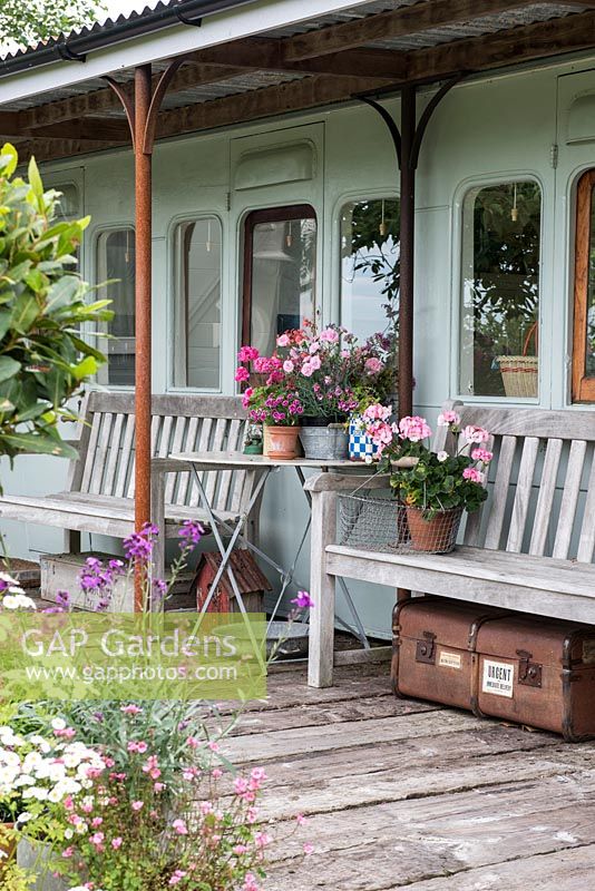 Platform of 1882 Victorian railway carriage, with potted Pelargoniums and Dianthus