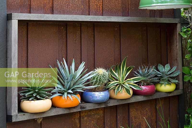 A timber frame mounted to a corten steel wall holding a collection of brightly coloured glazed pots planted out succulents and a cactus.
