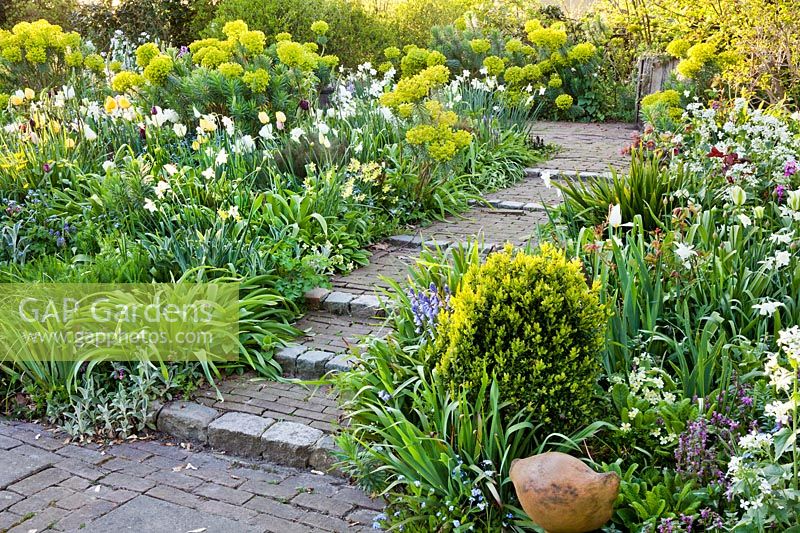A colourful spring display of tulips, daffodils,   Mediterranean spurge, alliums, helleborus, forget me nots. Design: Thea Maldegem