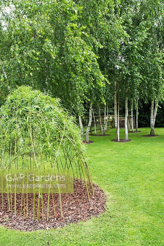 A woven Willow structure with viewing holes made for children to play in, with Birch trees in background