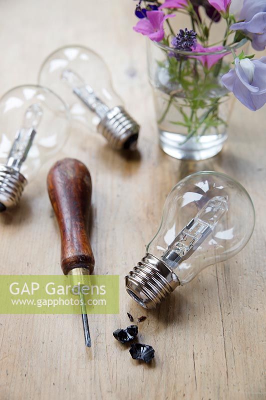 Making hanging flower vases from lightbulbs. Once the silver end cap has been removed there should be a small hole. Remove the black glass section by poking a sharp item inside it and wiggling it around - it should crack and come out fairly easily