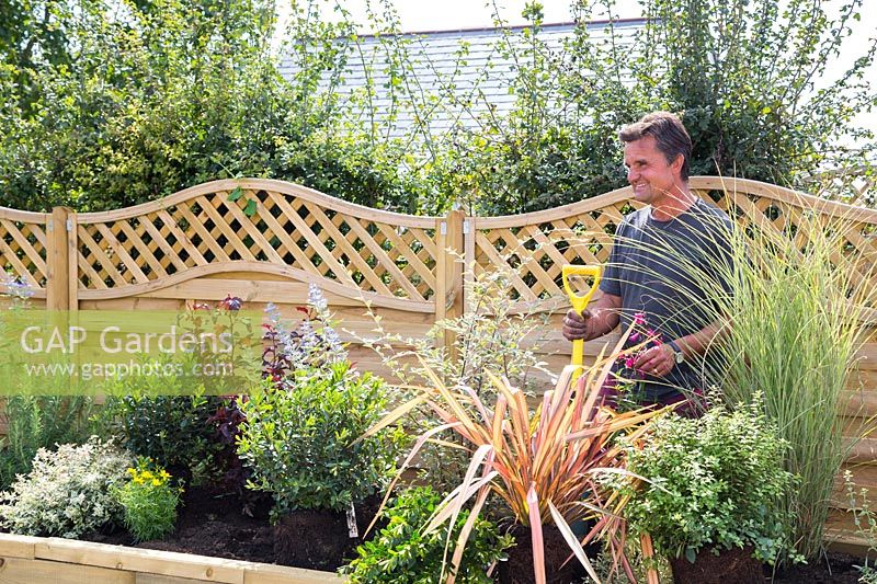 Antony Henn from Garden on a roll by newly planted border of mature plants where plants are placed according to the paper plan for the designed border