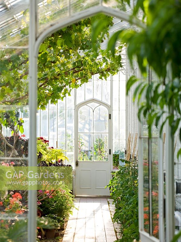 Greenhouse interior, Arundel Castle, West Sussex, May