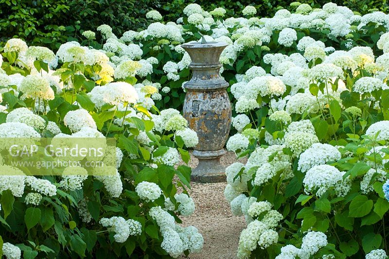 A rustic column and sundial is surrounded by flowering Hydrangea at Belmont House, Sussex. 