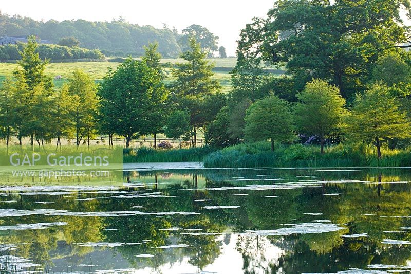 View across lake with countryside beyond, Brockhampton, Herefordshire.