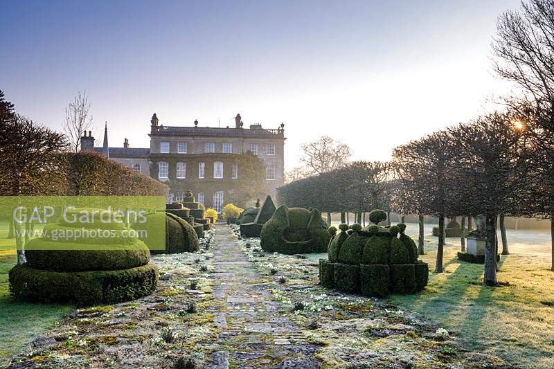 The Thyme Walk with Golden Yew Topiary, Highgrove Garden in March, 2019.