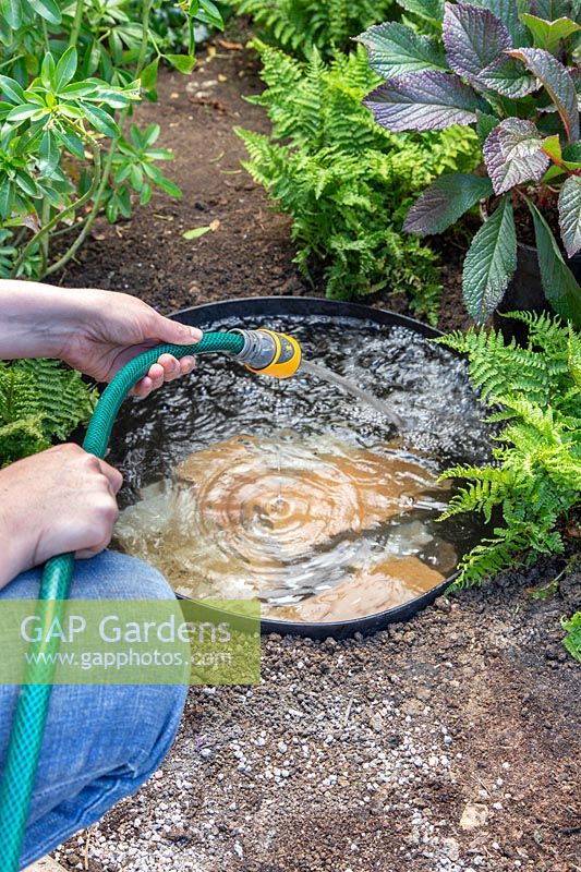 Person using a hose pipe to fill up a small plastic container pond in border. 
