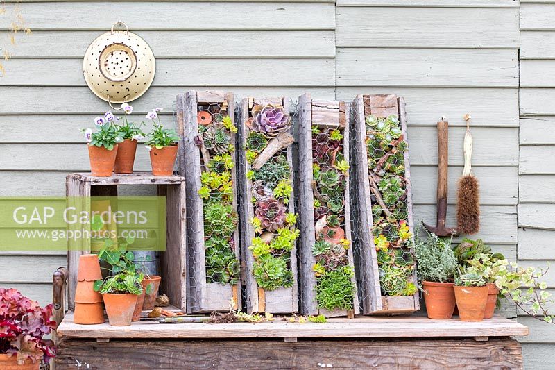 Succulent pallet planters with pots and garden tools.