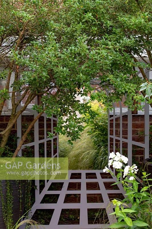 Trellis on brick wall frames garden mirror, used to disguise boundary in a small garden. Osmanthus Burkwoodii multistem in black container nearby