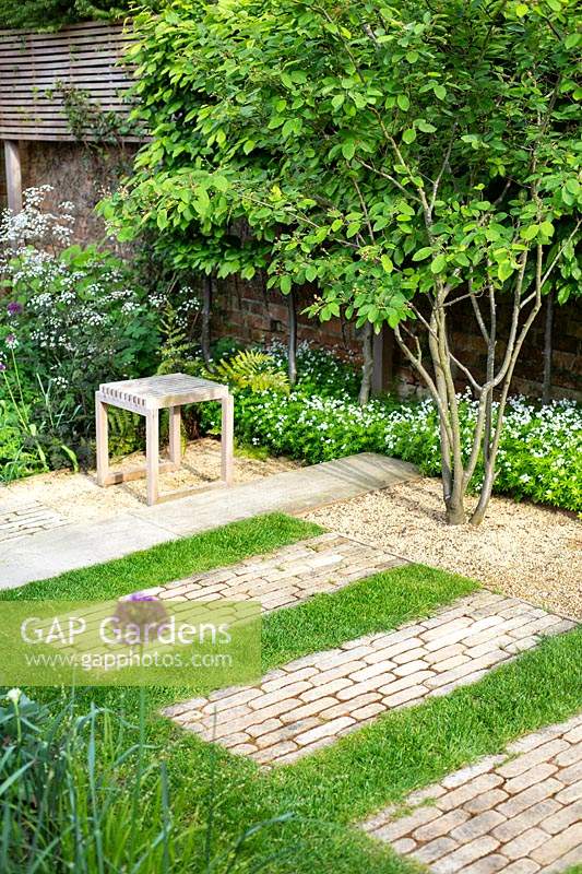 Paving set into lawn with small seating area beneath an Amelanchier lamarckii tree.