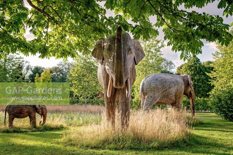 Elephant sculptures sit in harmony on the Orchard Room Meadow, July, 2022.