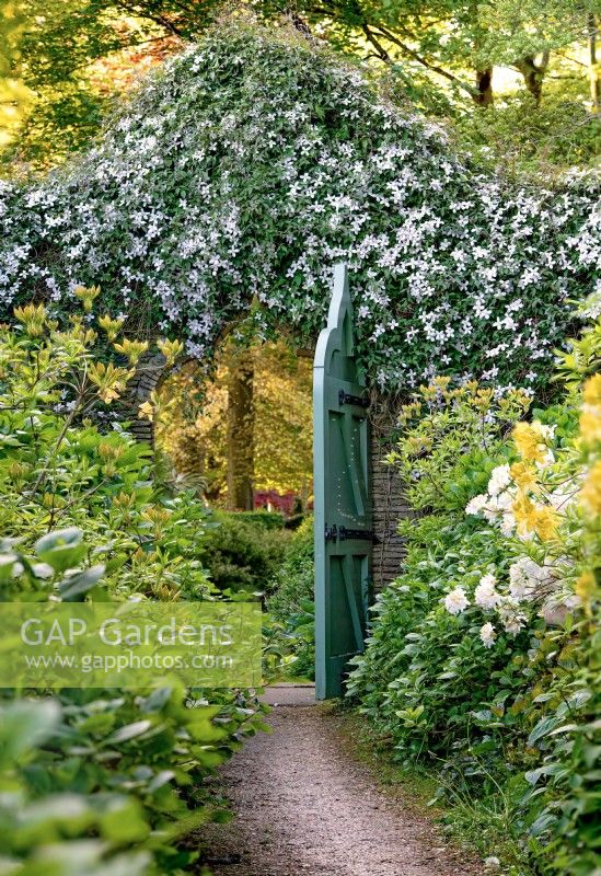 Gate leading out of the Azalea Walk towards the Winterbourne Garden, May, 2022.
