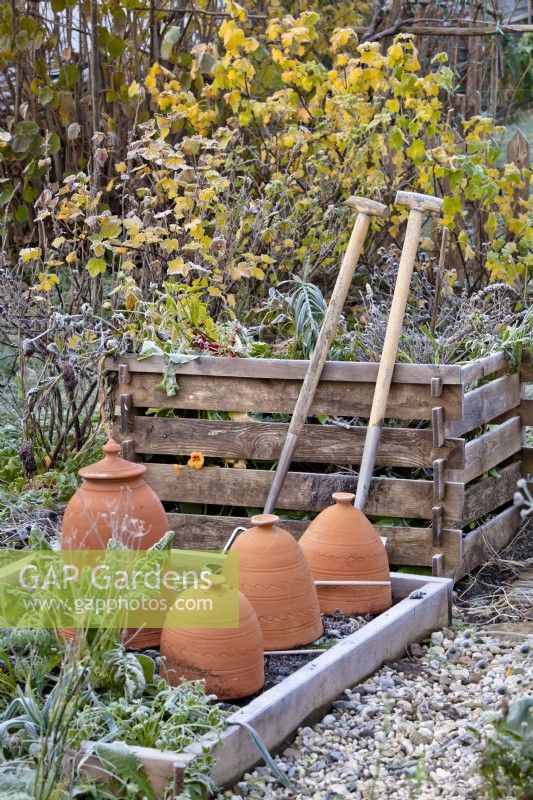 Raised bed with terracotta cloche cold protection and compost heap with tools.