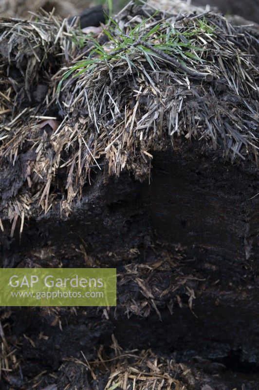Cross section of a compost on an allotment showing decomposed matter ready for use and topped with straw. 
