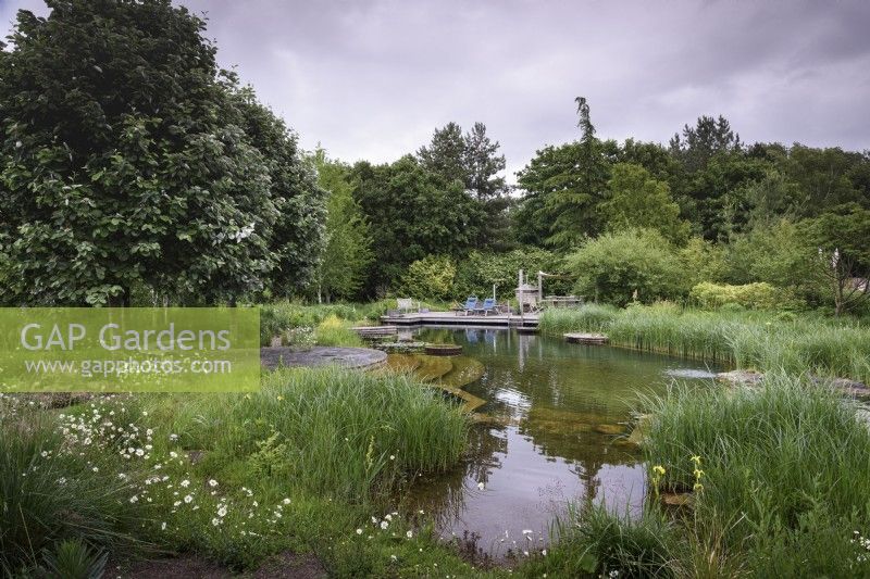 Natural swimming pond at Ellicar garden in May