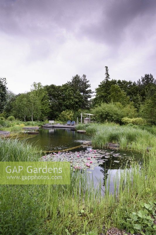 Natural swimming pond at Ellicar garden in May