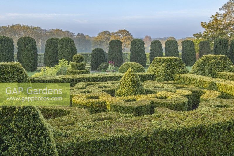 View of Buxus sempervirens knot garden in a formal country garden in Spring - April