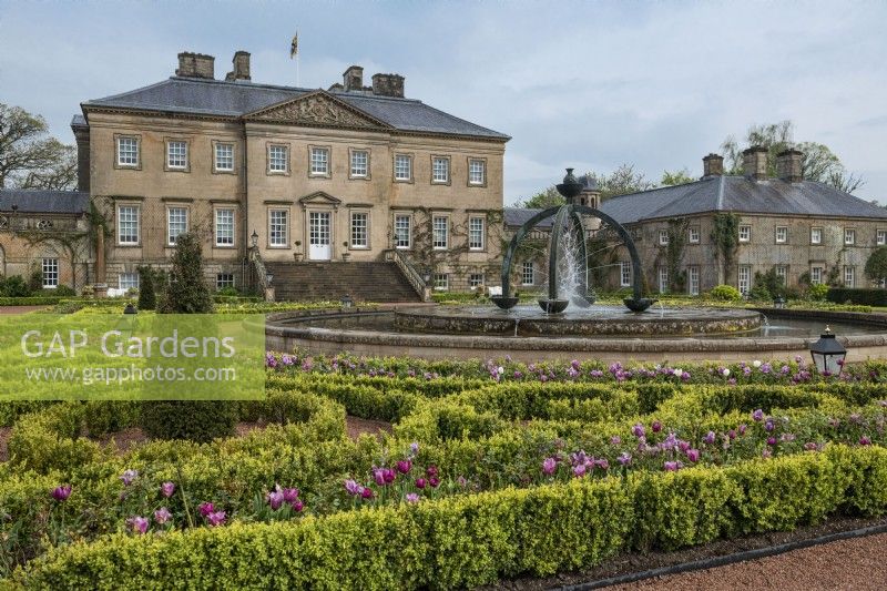 The Palladian Dumfries House with front garden boxwood parterre and tulips, large central pool with fountain.