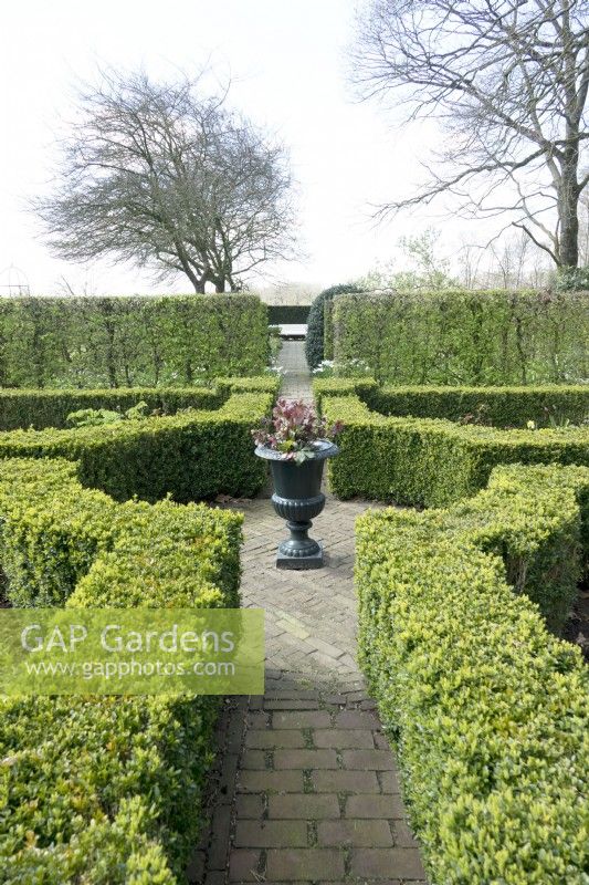 Path with ornament and topiary classic buxus hedges.