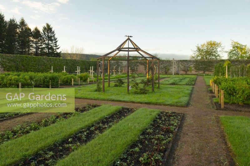 A wooden pergola surrounded by rows of young fruit plants and grass in the Gordon Castle Walled Garden.