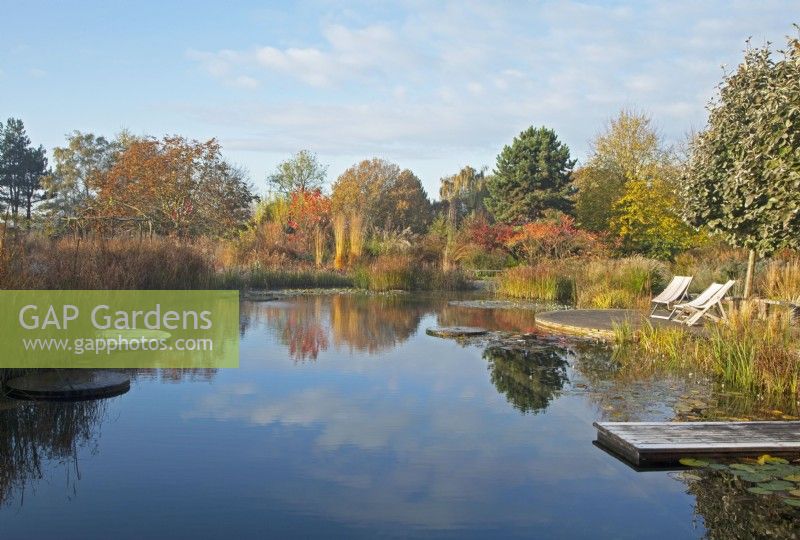 Reflections in a natural swimming pool with diving platform and circular seating area, surrounded by ornamental grasses and trees in autumn colours.