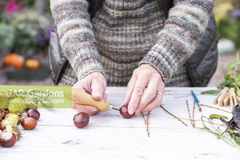 Woman using bradawl to poke two holes in each of the conkers