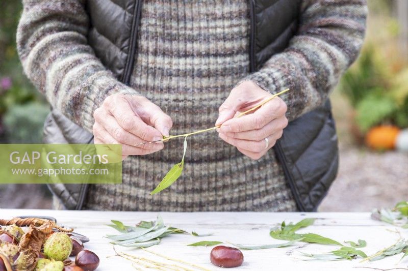 Woman removing leaves from willow twigs
