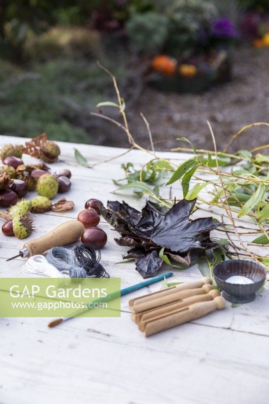 Conkers, Maple leaves, Willow sprigs, bradawl, scissors, string, brush, clothes pegs and glue laid out on table