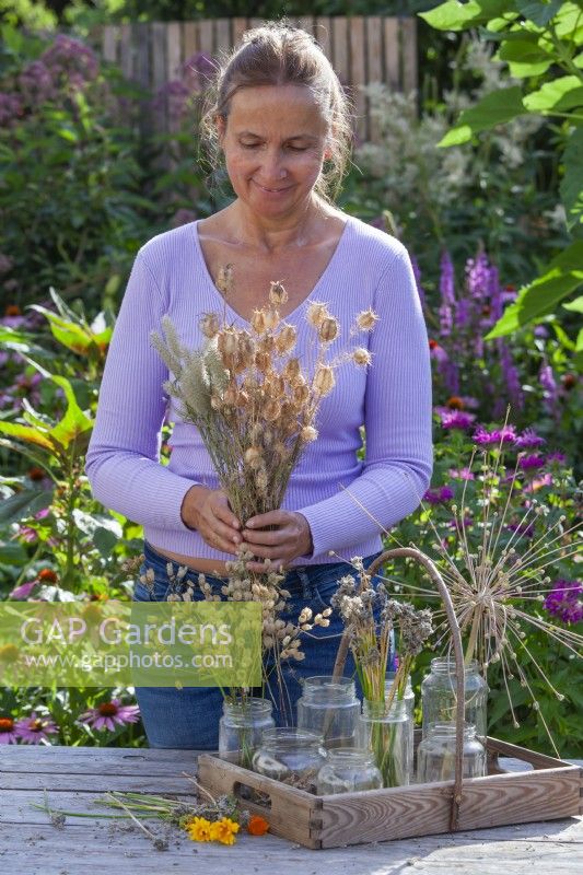 Woman collecting seeds from the garden . Nigella damascena, Allium,  Silene vulgaris and others.