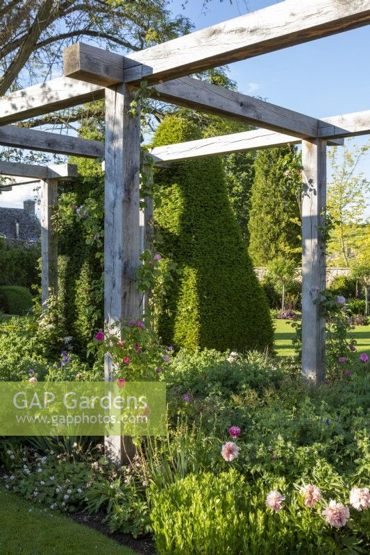 Wooden pergola underplanted with roses